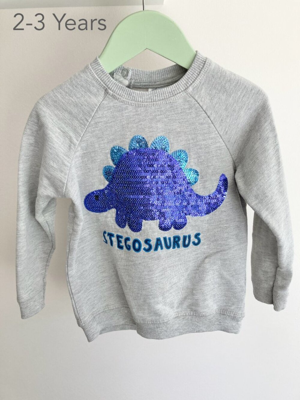 🪴5/$30 H&M 2-3 Years Toddler Dinosaur Stegosaurus Sequin Shiny Grey Crewneck